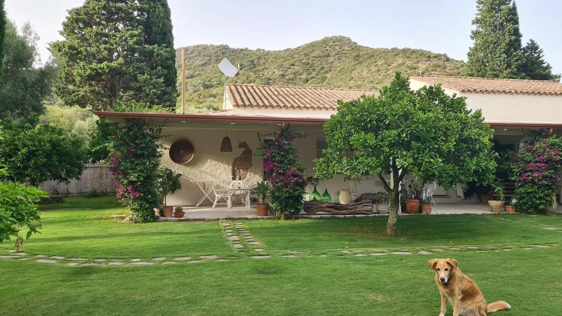 B&B Giallo Limone Teulada Italy