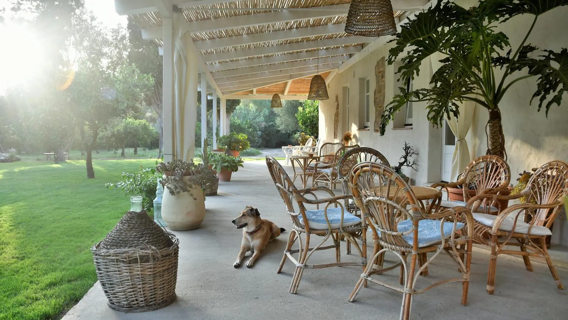 Bed & Breakfast B&B Giallo Limone Teulada Italy