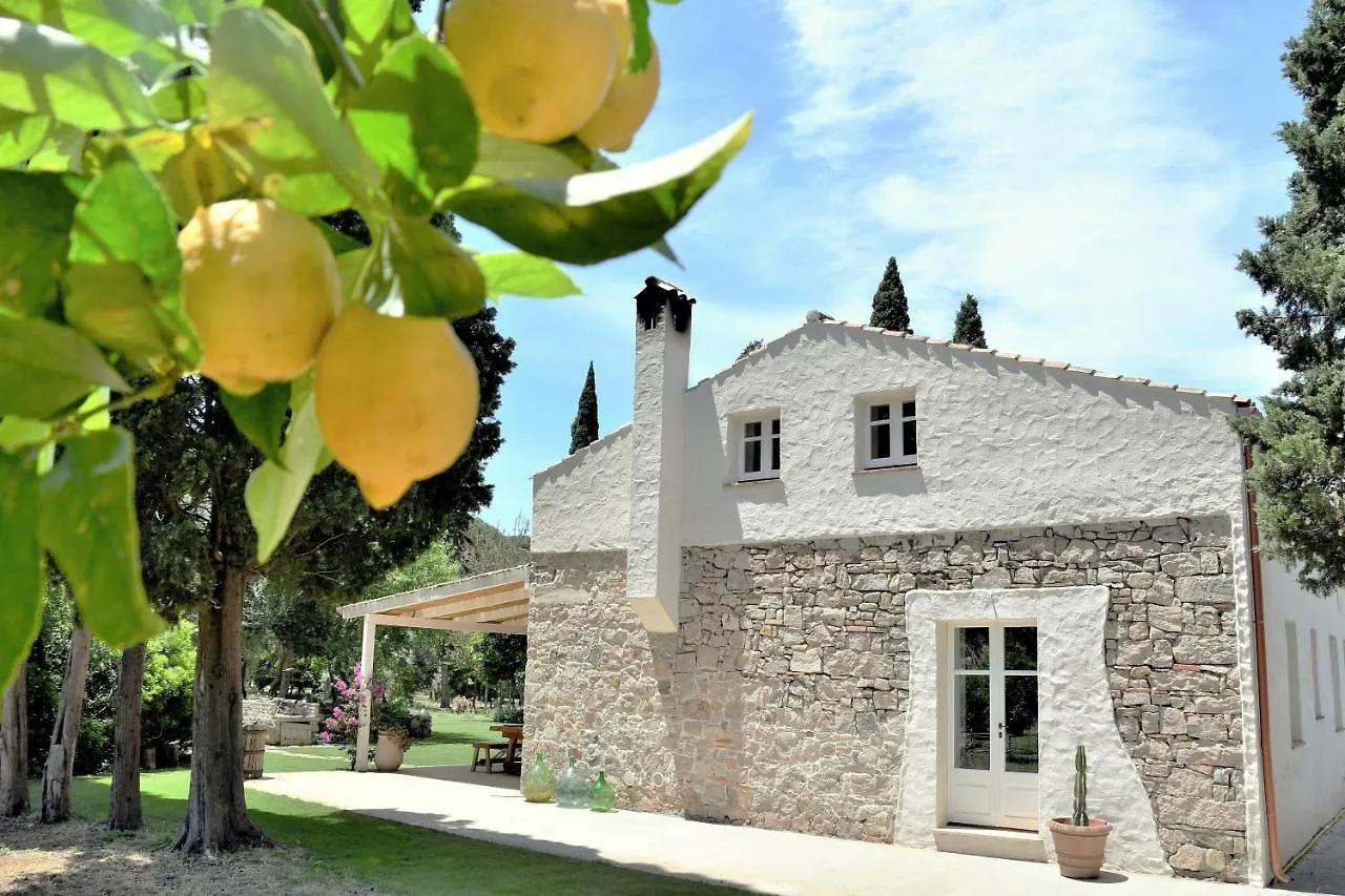 B&B Giallo Limone Teulada Frühstückspension